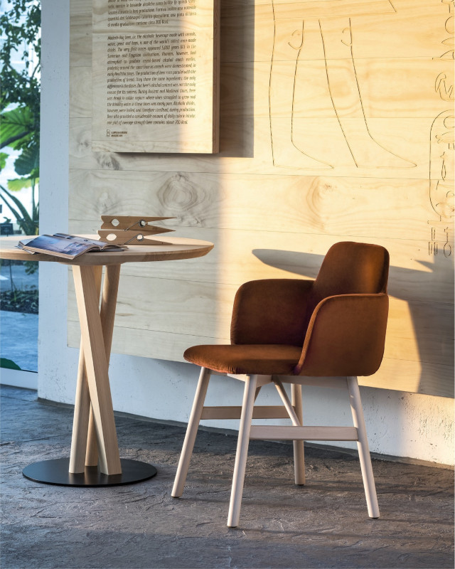 imgi 41 487229055 1445021869897939 6909456796342323585 n